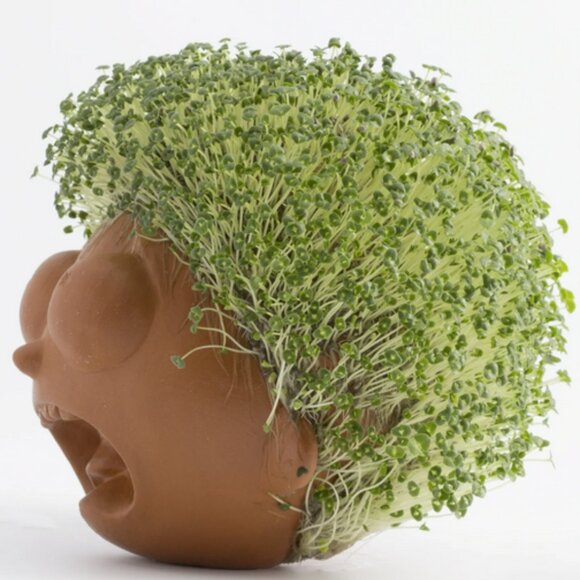 Rick and Morty Chia Pet® Morty - Picture 4 of 4